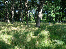 Lagow Cemetery